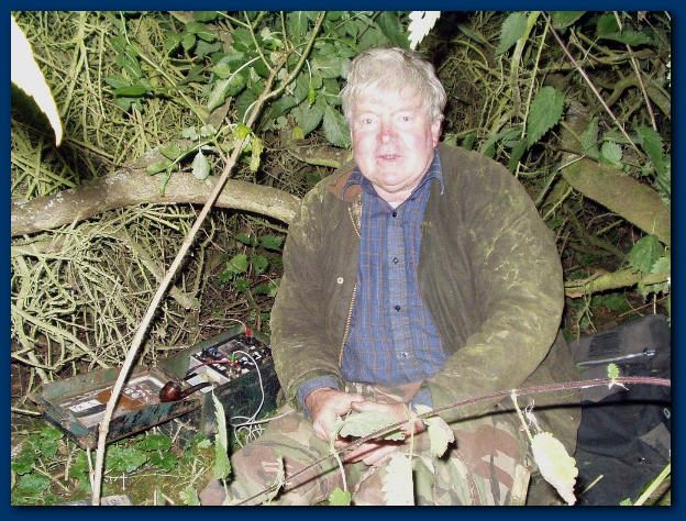 600x449 pixels (196K)